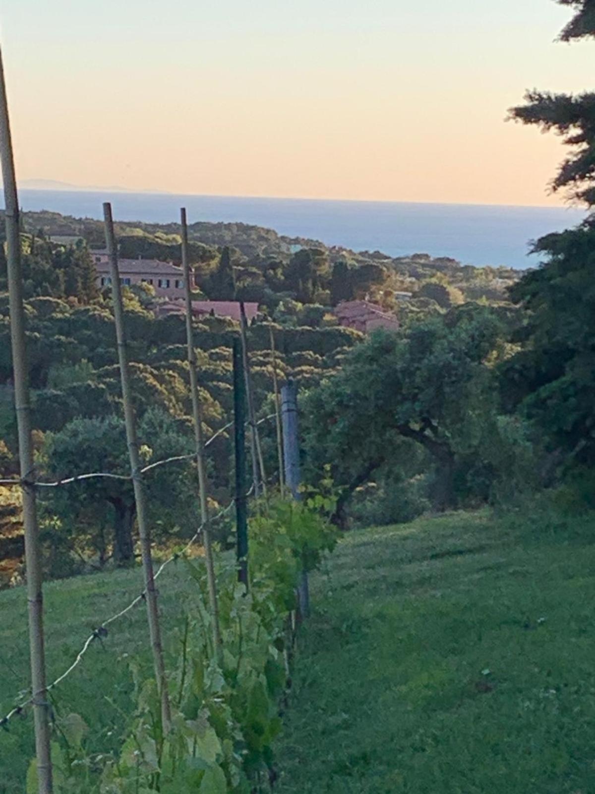 Allulivus Montenero  Εξωτερικό φωτογραφία